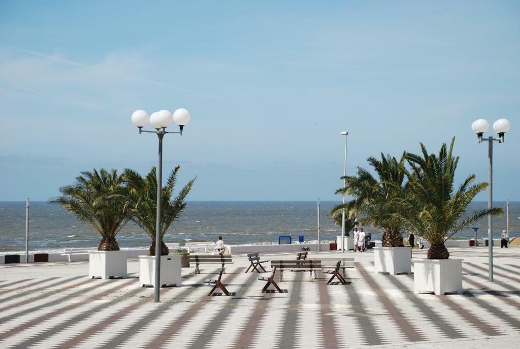 Sunnyzandvoort Kültér fotó